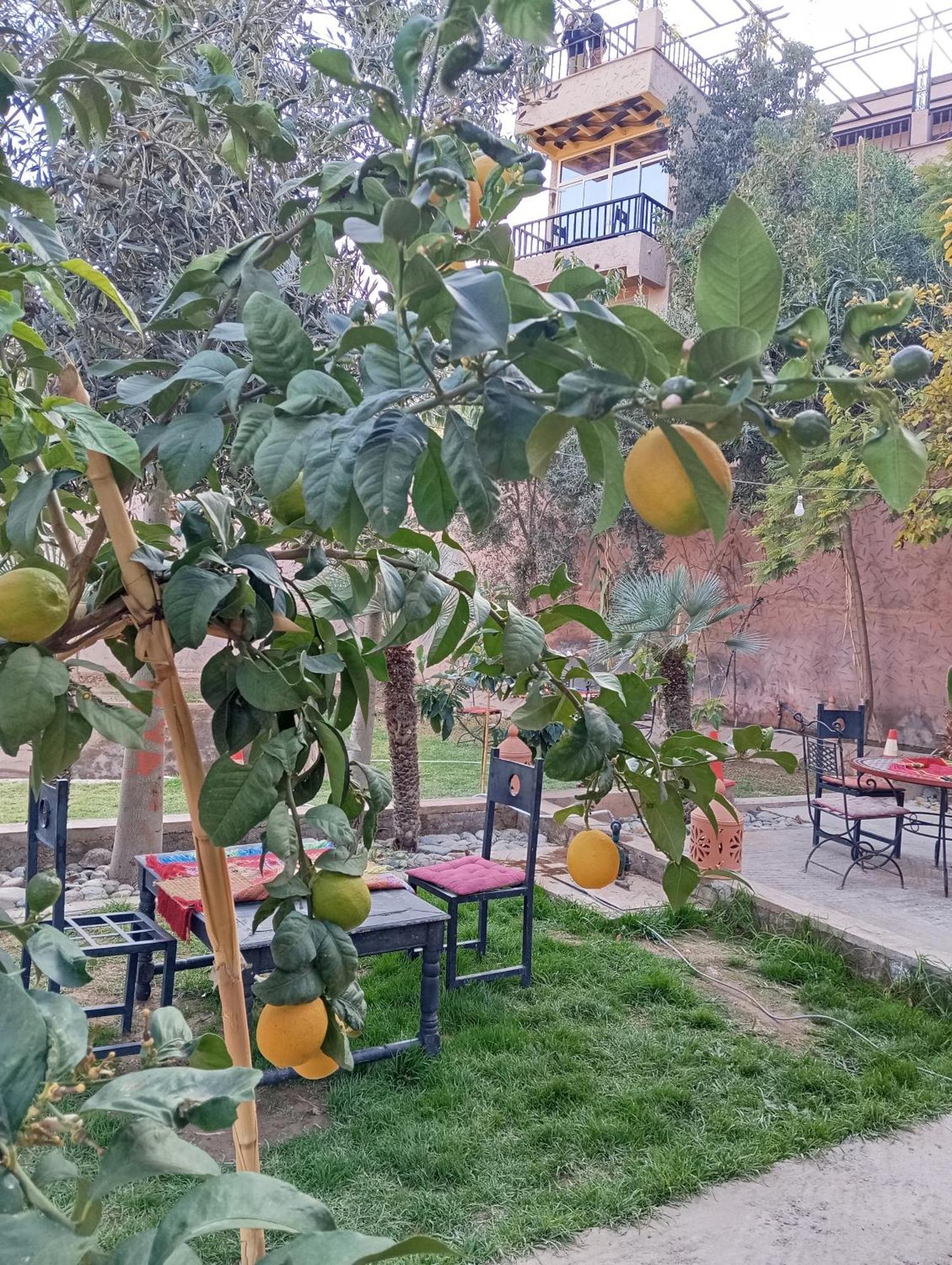 Dar Soulaimane Hotel Asguine Luaran gambar